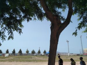 Zona exterior