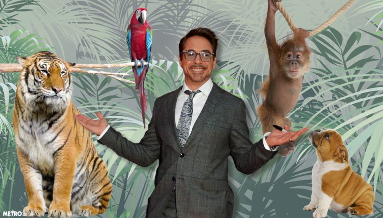 aw-doctor-dolittle-robert-downey-jr1