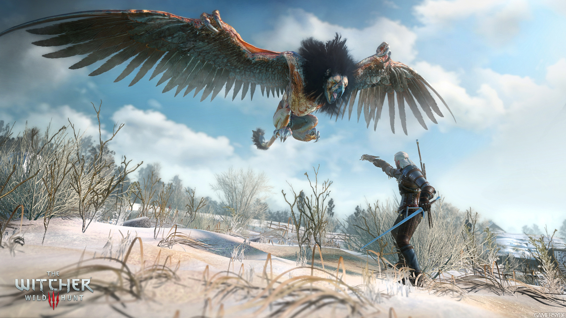 The Witcher 3 Wild Hunt