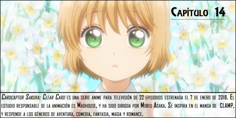 Cardcaptor Sakura Clear Card #14