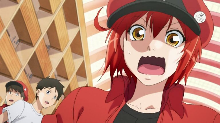 'Cells at Work!' será la primera licencia anime de Coalise Estudio imagen destacada