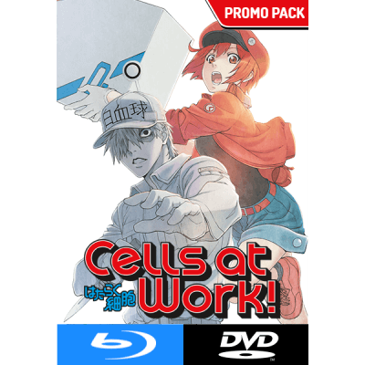 Novedades mayo Coalise