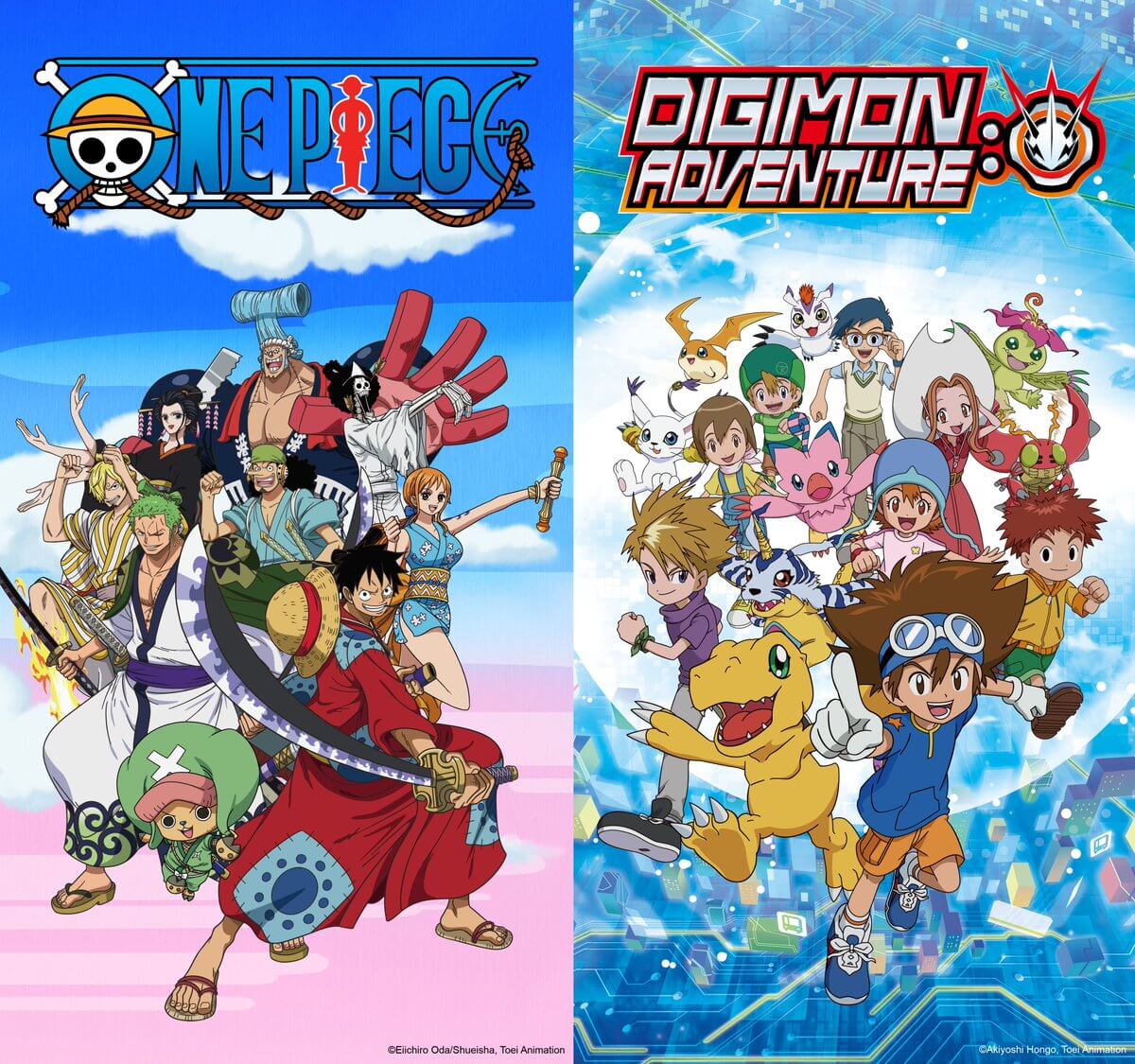 One Piece Digimon Adventure