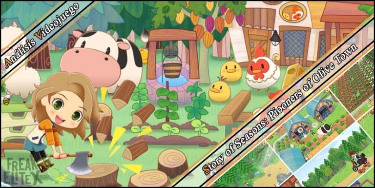 Análisis de Story of Seasons Piooners of Mineral Town