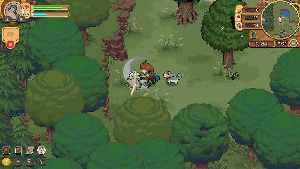 Potion Permit ya tiene fecha de lanzamiento