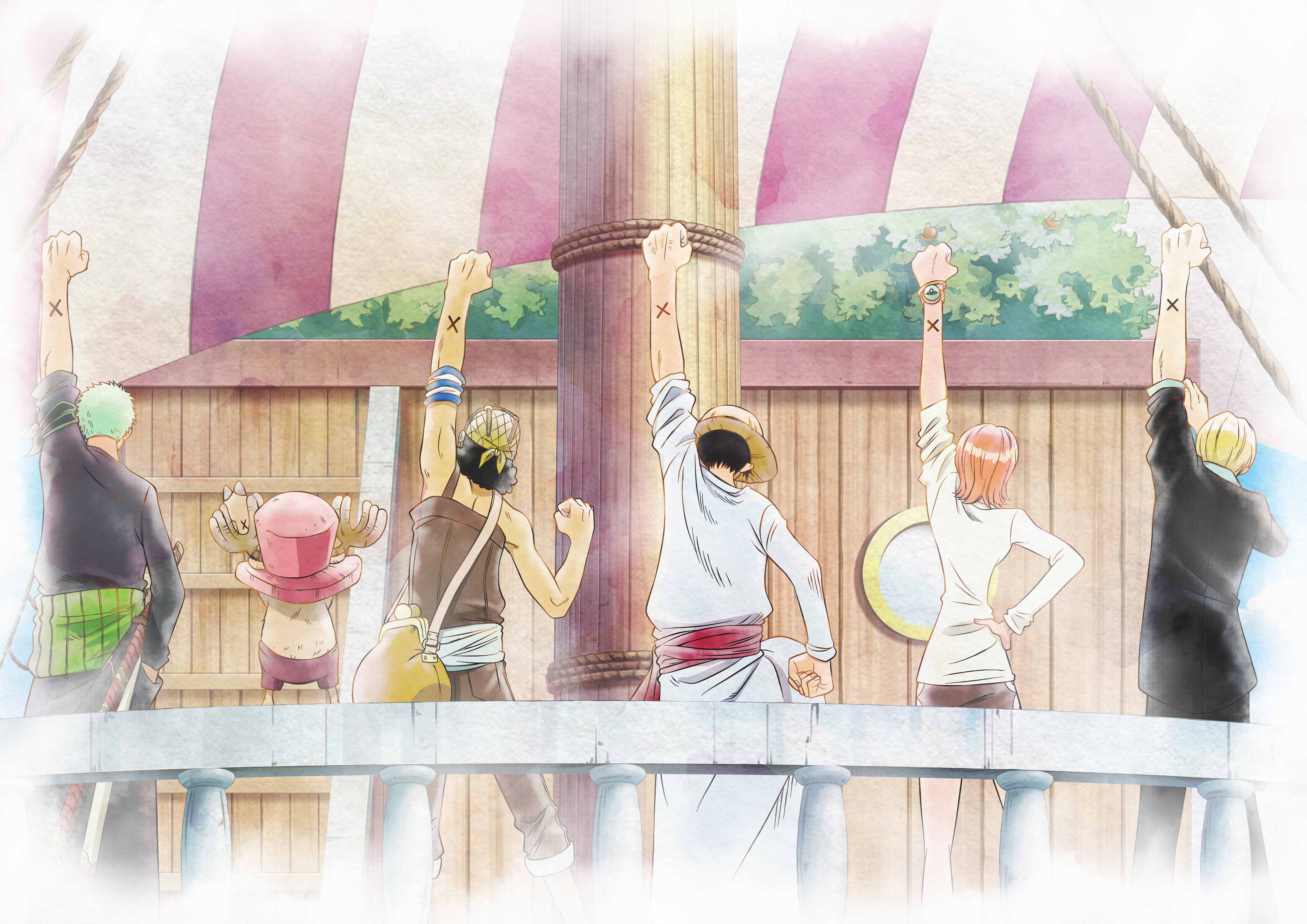 One Piece Aniversario