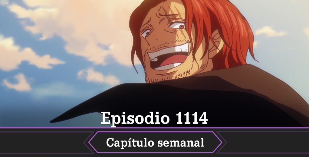 One Piece anime fecha y hora para ver online, gratis y en español episodio 1114