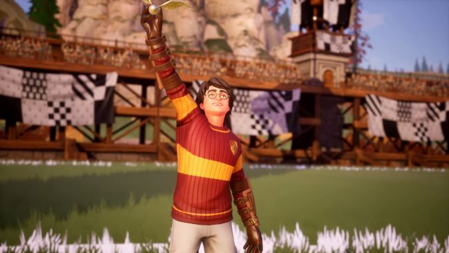 Harry Potter Quidditch Champions reservas