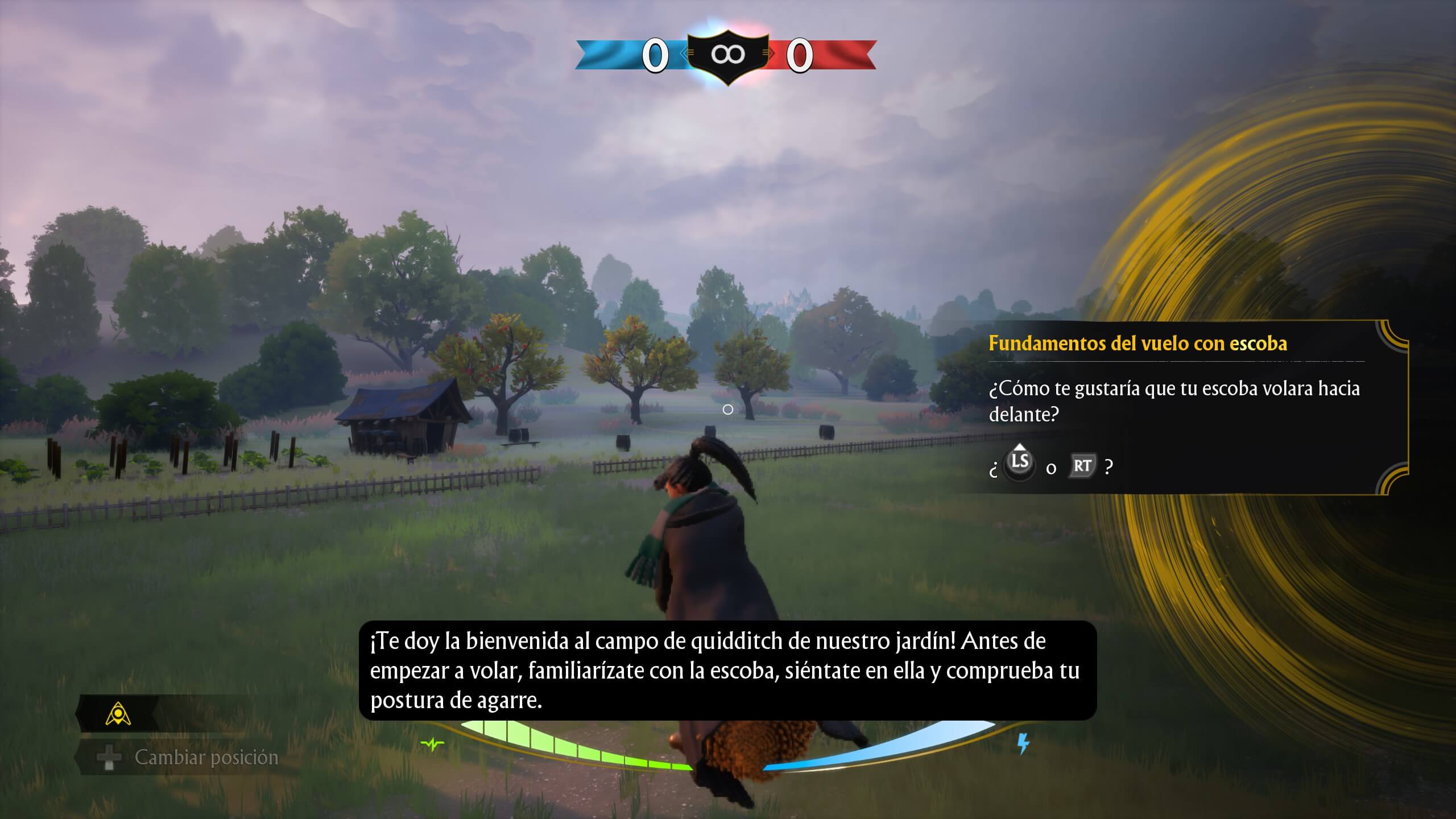 Análisis de Harry Potter: Campeones de quidditch