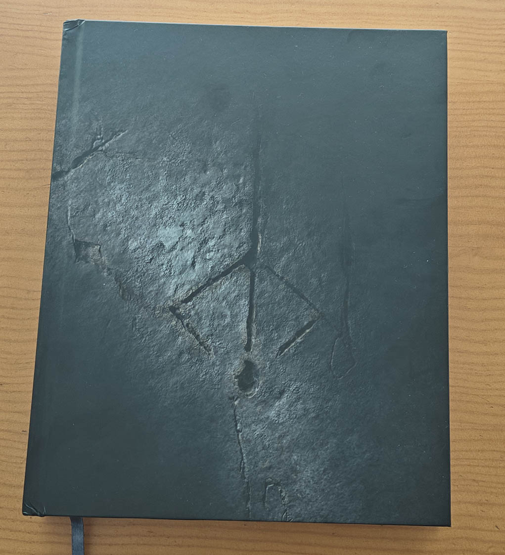 Reseña de Bloodborne Complete Edition 25th Anniversary