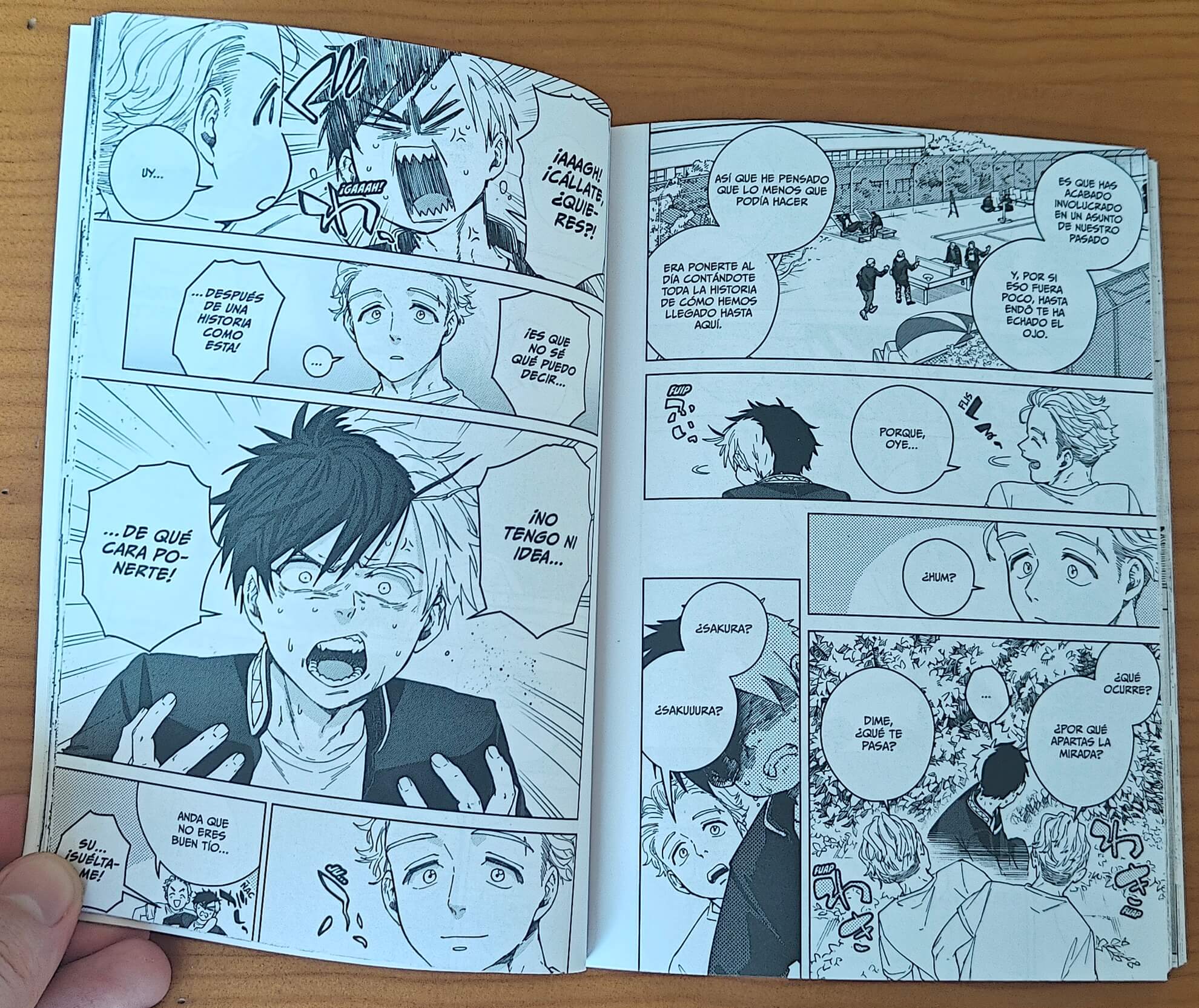 Reseña del manga Wind Breaker n.º 12