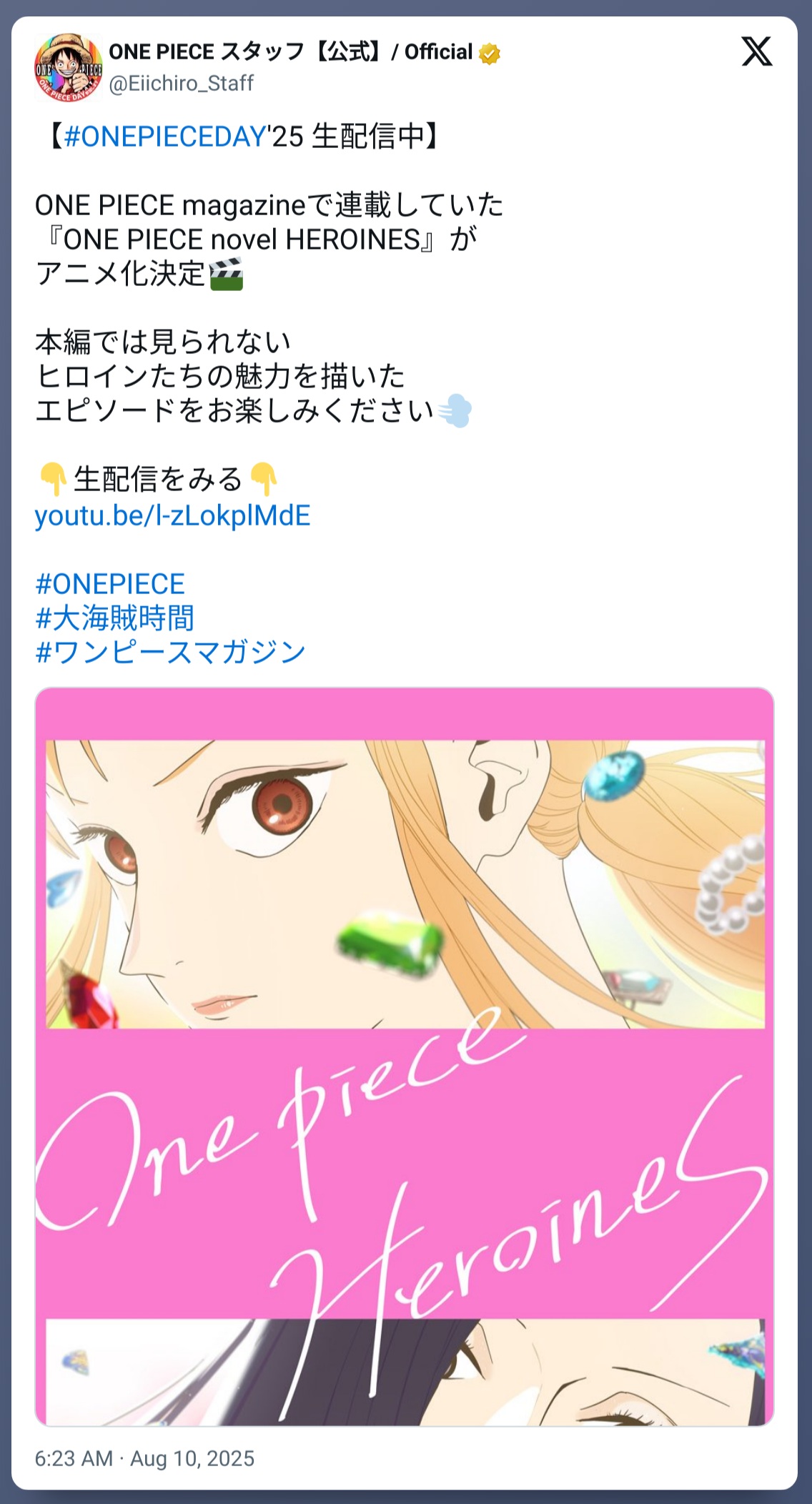 Se confirma el anime de One Piece Heroines y esto es lo que sabemos de ellas