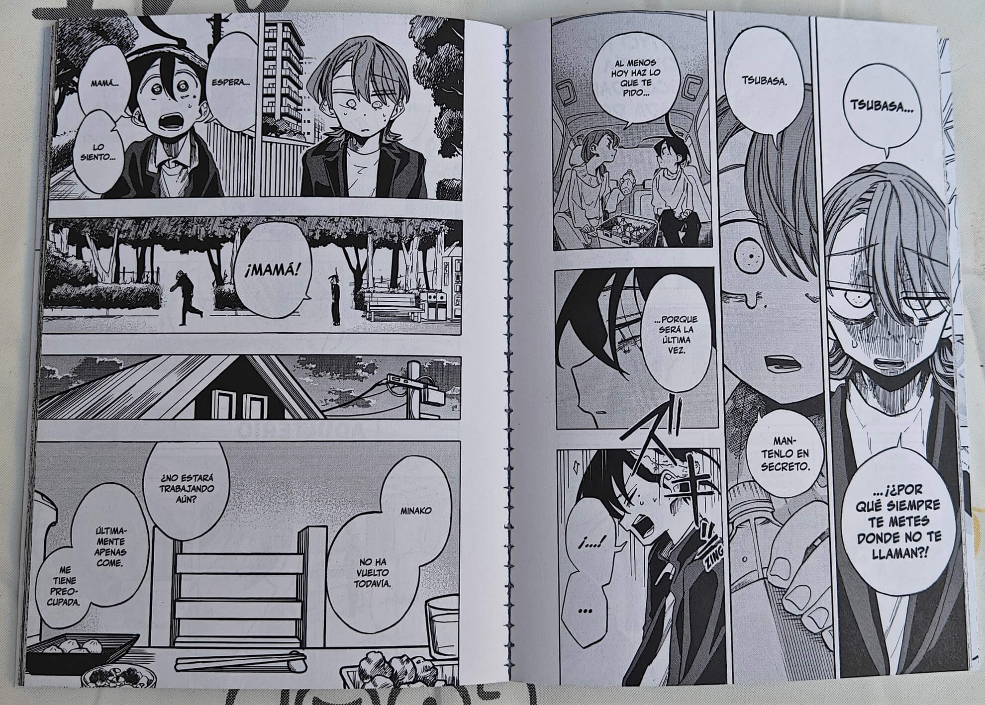 Reseña manga Los pecados de la familia Ichinose n.º 2 | Las miradas, las sombras, los contratiempos... Taizan 5 le imprime mucha personalidad cuando nos involucramos en momentos más sentimentales.