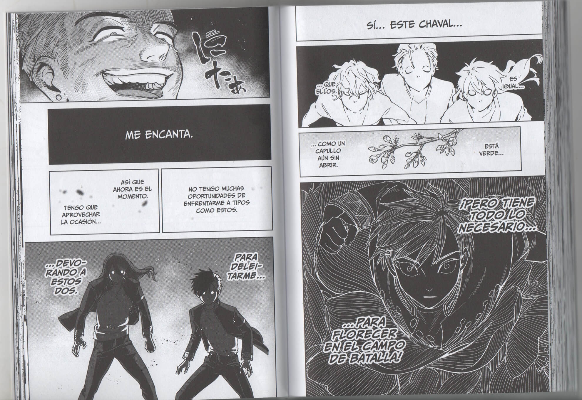 Reseña Wind Breaker 14