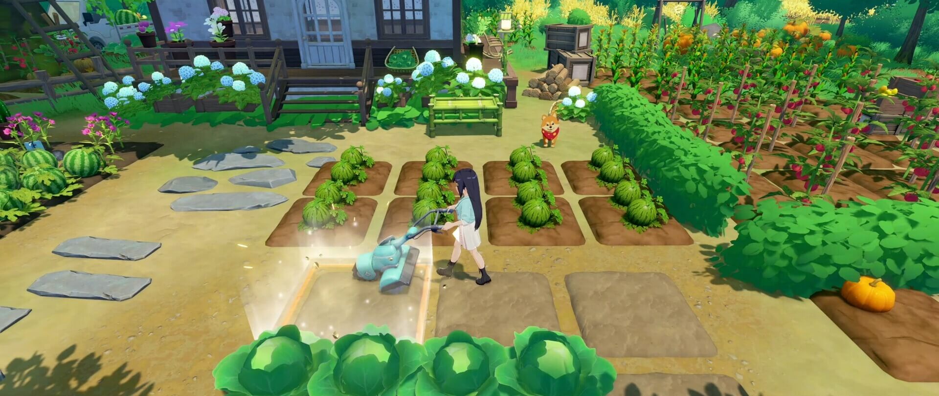 Primeras impresiones de Starsand Island