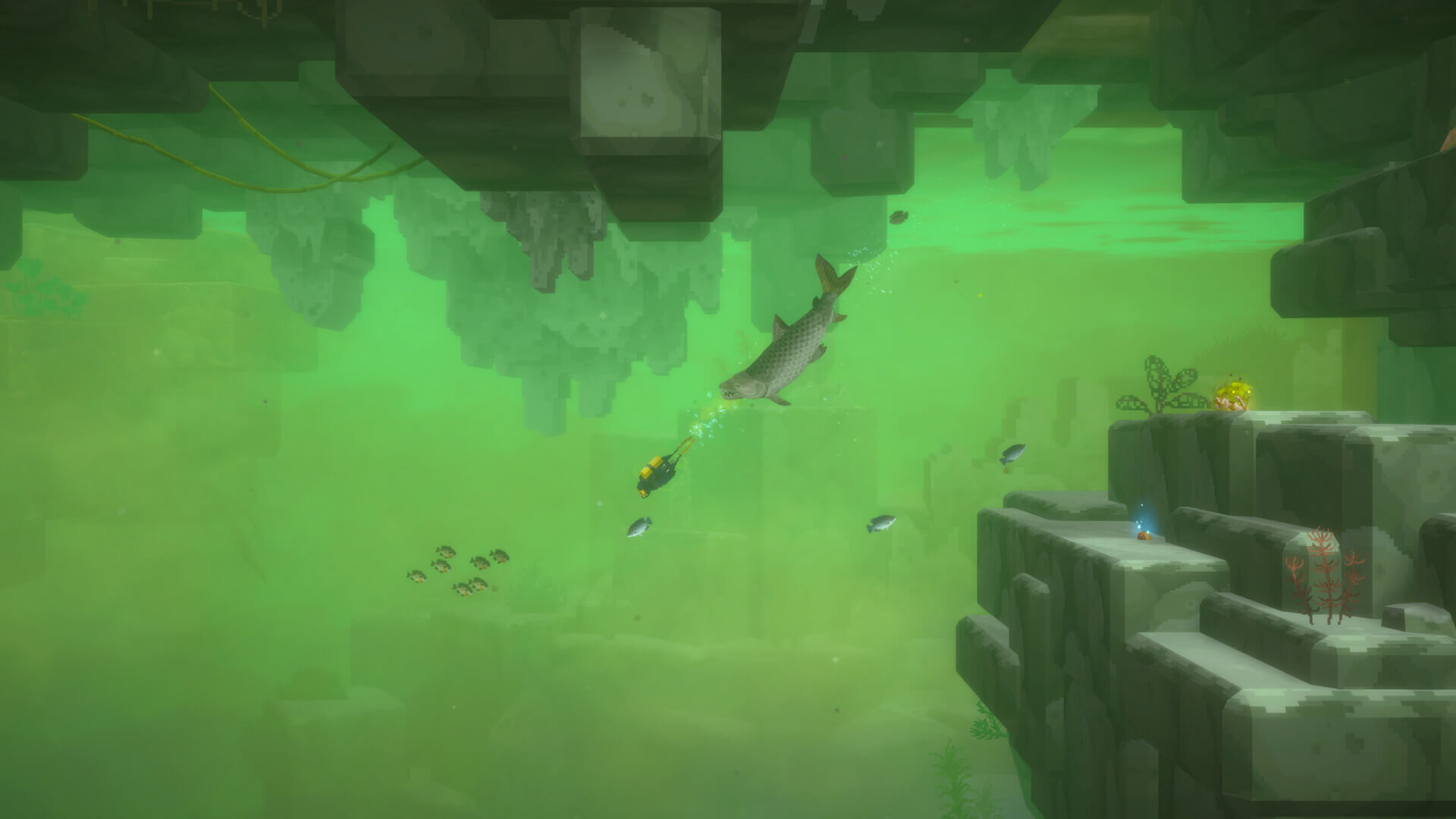 Análisis de Dave the Diver: in the Jungle