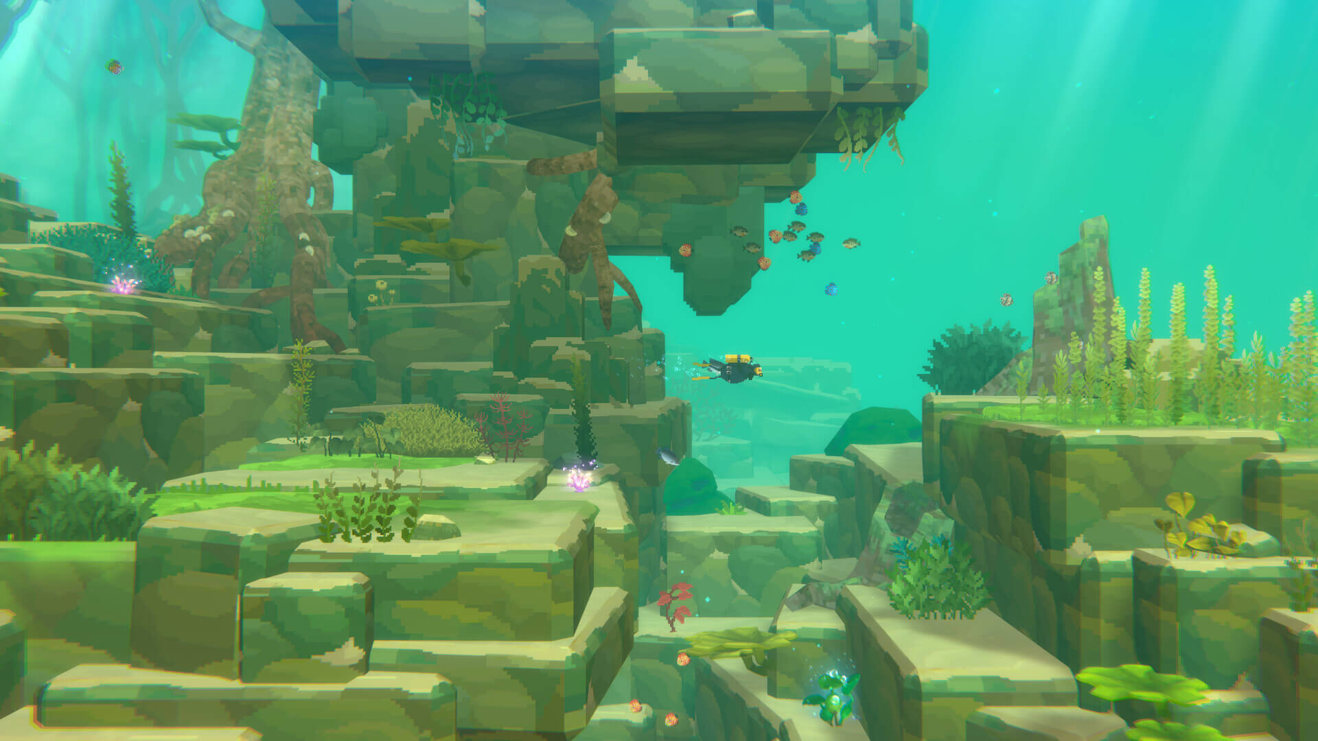 Análisis de Dave the Diver: in the Jungle