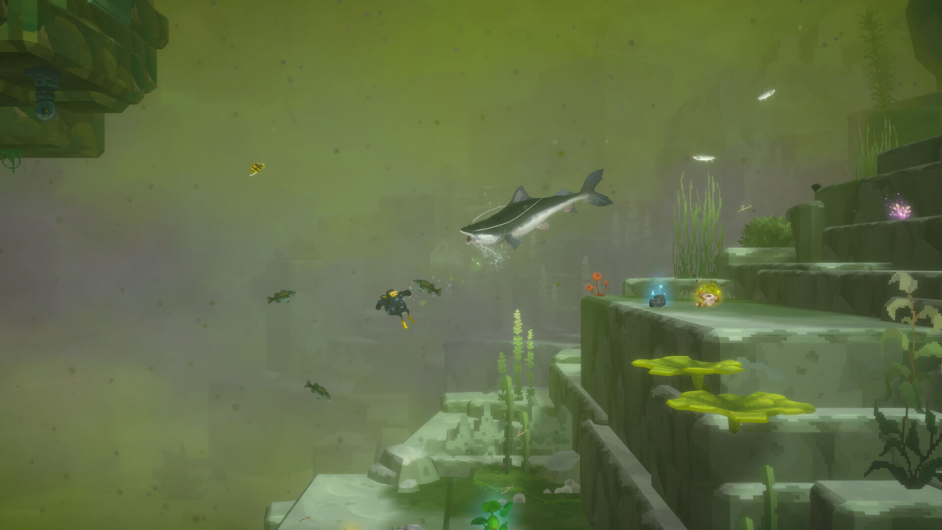 Análisis de Dave the Diver: in the Jungle