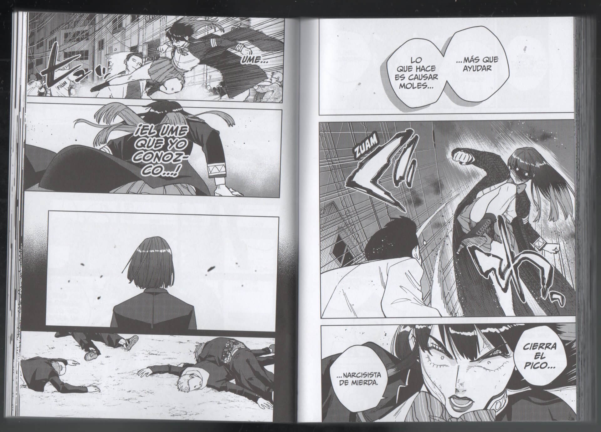 Reseña del manga Wind Breaker n.º 15 | Cuando insultas a Ume, Tsubakino pierde el control.