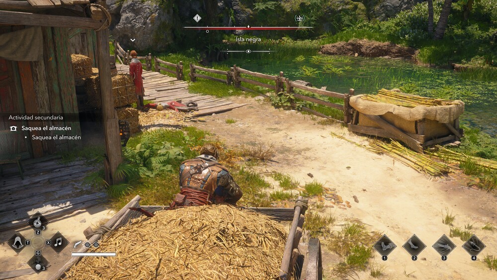 Análisis Assassin's Creed Black Flag Resynced