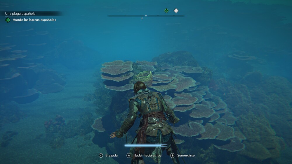 Análisis Assassin's Creed Black Flag Resynced
