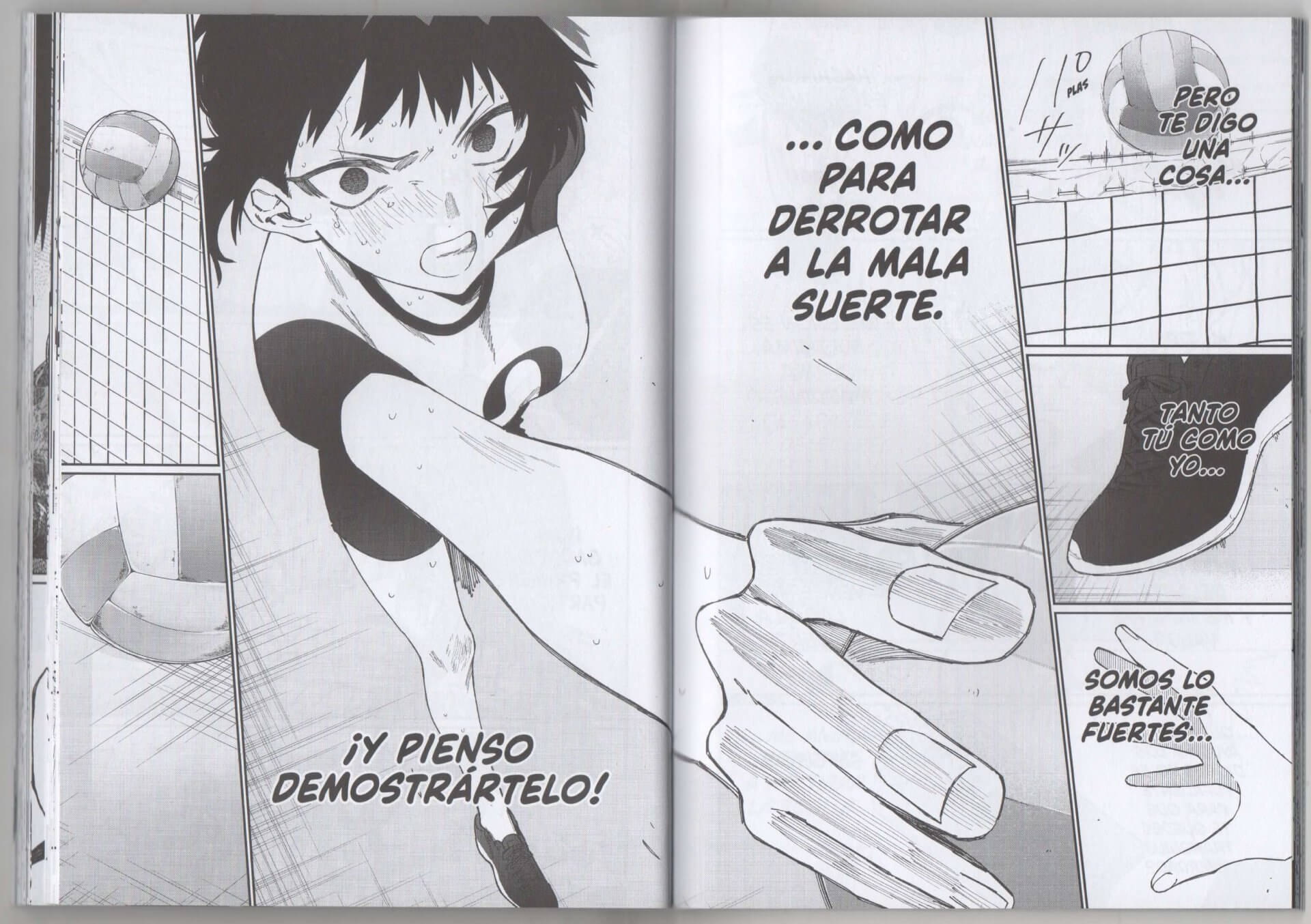 Reseña manga Shikimori es más que una cara bonita 17 | ... y de Nekozaki