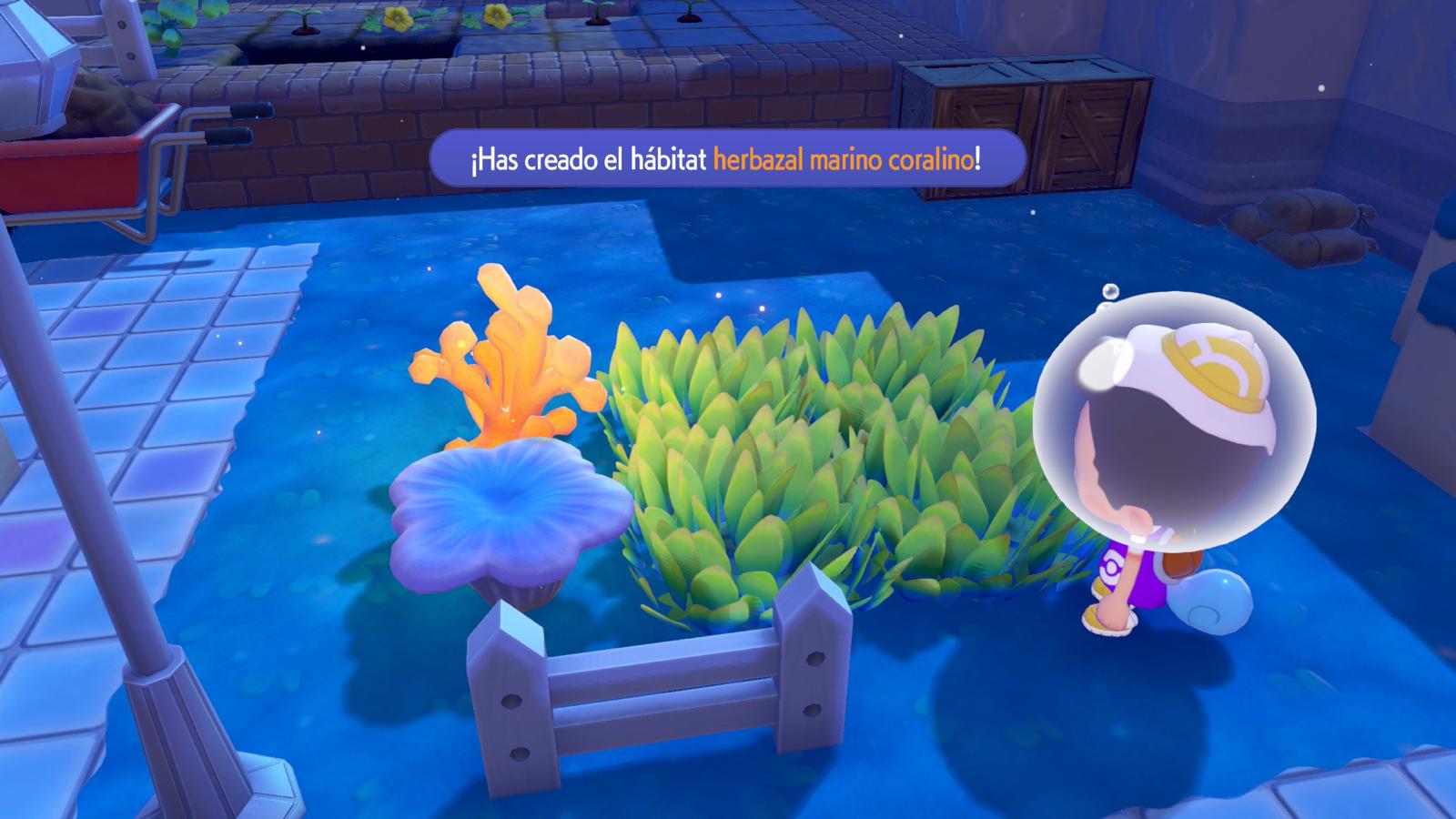 Impresiones Pokémon Pokopia Cuenca Coralina