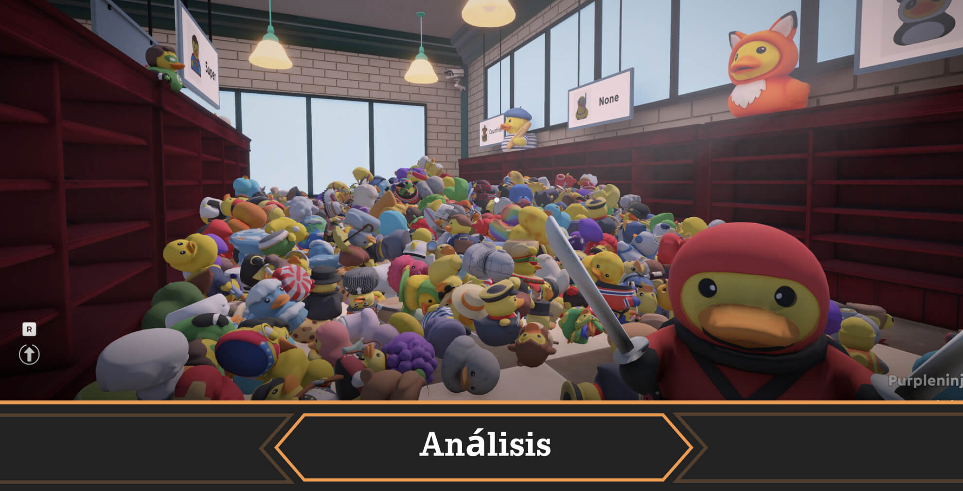 Portada análisis Sort Them Ducks