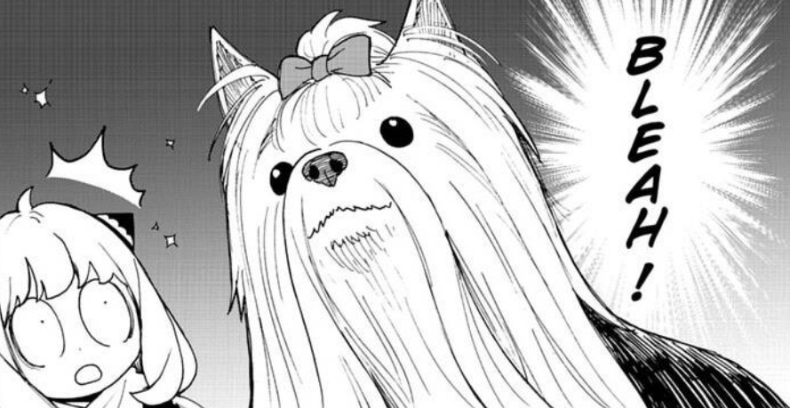 SPY x FAMILY episodio 143 del manga, fecha y horario para leer online, en español y gratis
